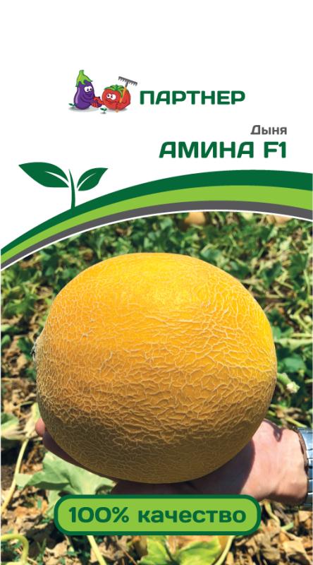 Партнер Дыня АМИНА F1 ^(5шт)