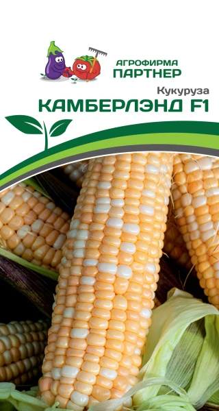 Партнер Кукуруза КАМБЕРЛЭНД F1 ^(3г)